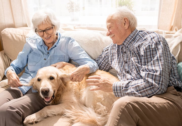 Elderly Couple Sitting on Sofa with Dog at Assisted Living Facility Elderly Couple Sitting on Sofa with Dog at Assisted Living Facility